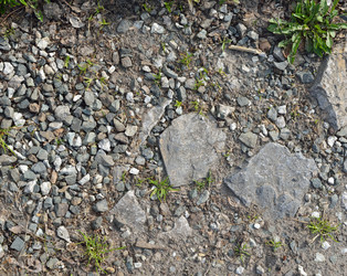 Similar image 6282163