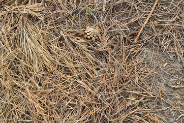 Similar image 6282187