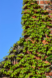 Similar image 6282251