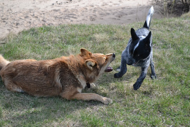 Similar image 6282580