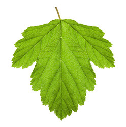 Similar image 6282641