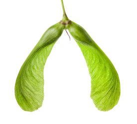 Similar image 6282642