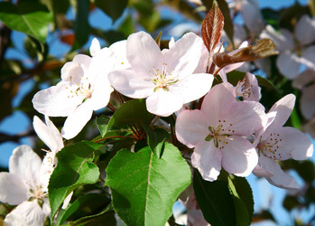 Similar image 6282684