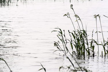 Similar image 6282689