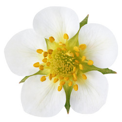 Similar image 6282691