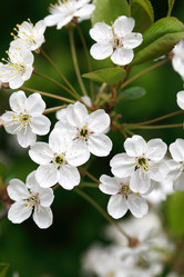 Similar image 6282744