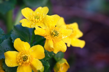 Similar image 6282745