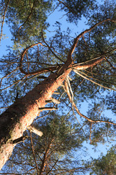 Similar image 6282747