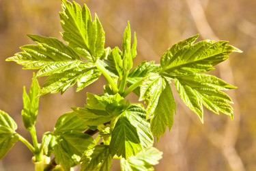 Similar image 6282771