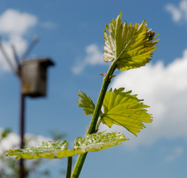 Similar image 6282787