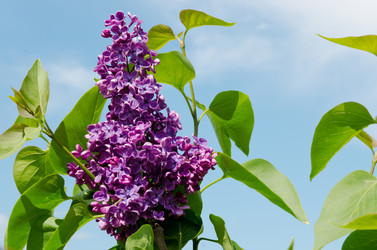 Similar image 6282788