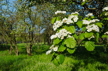 Similar image 6282789