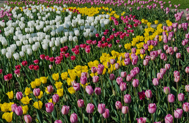 Similar image 6282791