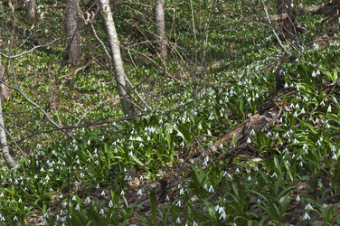 Similar image 6282792