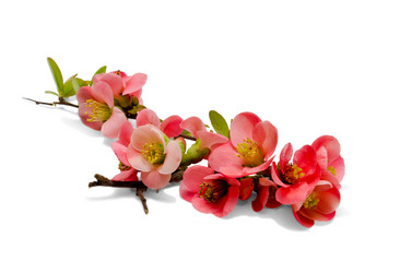 Similar image 6282795