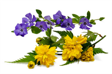 Similar image 6282796