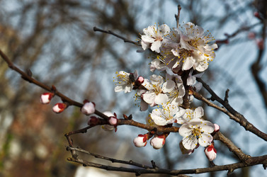 Similar image 6282798