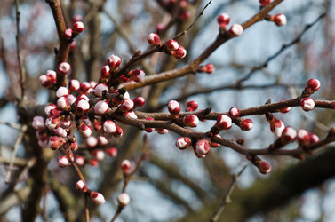 Similar image 6282799