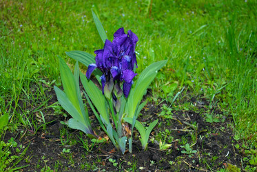 Similar image 6282812