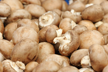 Similar image 6282983