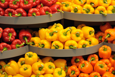 Similar image 6282996