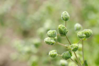 Similar image 6283013