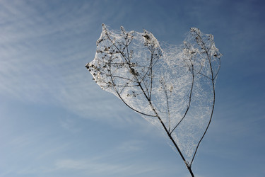 Similar image 6283030