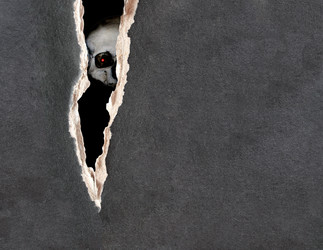 Similar image 6283042