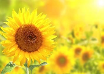 Similar image 6283057