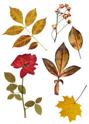 Similar image 6283059