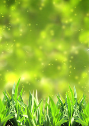 Similar image 6283067