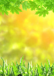 Similar image 6283098