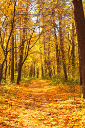 Similar image 6283102