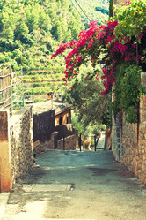 Similar image 6283160