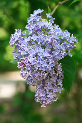 Similar image 6283266