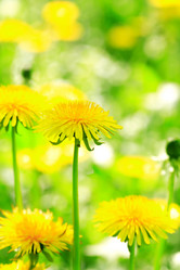 Similar image 6283267