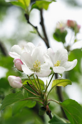 Similar image 6283269