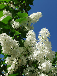 Similar image 6283357