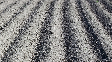 Similar image 6283358