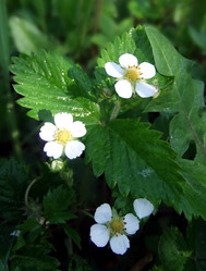 Similar image 6283361