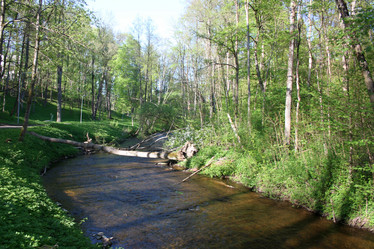 Similar image 6283372