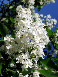 Similar image 6283377