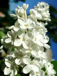 Similar image 6283378