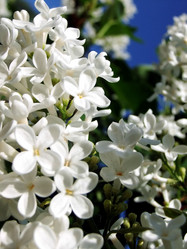 Similar image 6283380