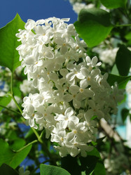 Similar image 6283381