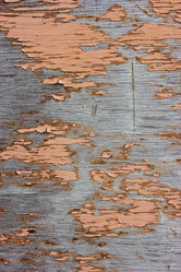 Similar image 6283444