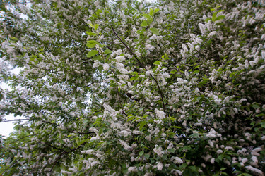 Similar image 6283457