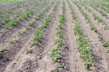 Similar image 6283557