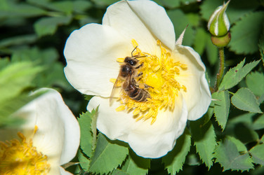 Similar image 6283565