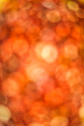 Similar image 6283653